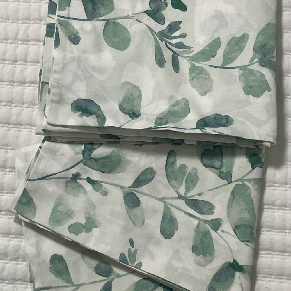 Charter Club Green Eucalyptus Leaf Print king Pillow shams